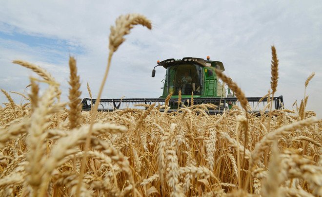 НИФИ Минфина России провел оценку себестоимости и рентабельности производства пшеницы в Российской Федерации