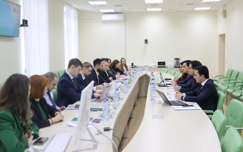 Эксперты НИФИ согласовали план по развитию системы прогнозирования доходов в Таджикистане в 2023-2025 годах