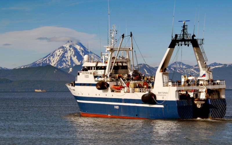 НИФИ провел финансово-экономический анализ предприятий морского рыболовства, рыбопереработки и судостроения,  участвующих в реализации механизма инвестиционных квот